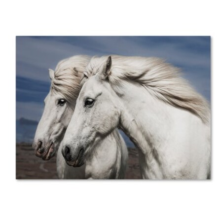 Trademark Fine Art Bragi Ingibergsson 'Blowing' Canvas Art, 24x32 1X00295-C2432GG
